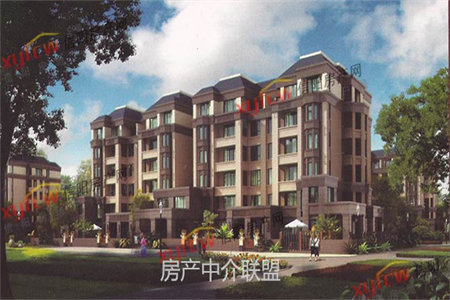 新出问天二期170平毛坯房四室中间层证满二看房有钥匙